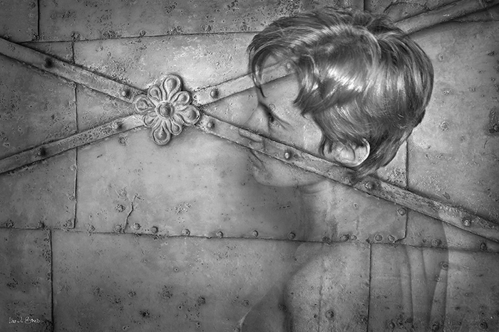 Lisa Streib Photography